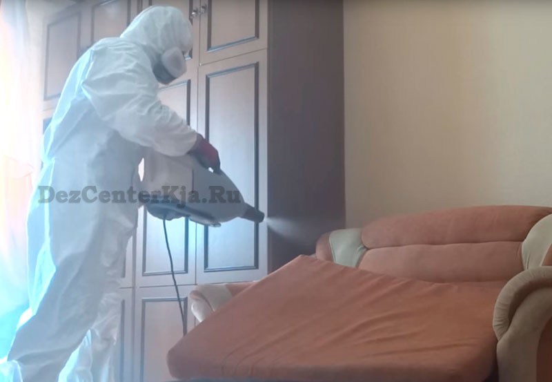 Уничтожение клопов, тараканов, клещей в Красноярске