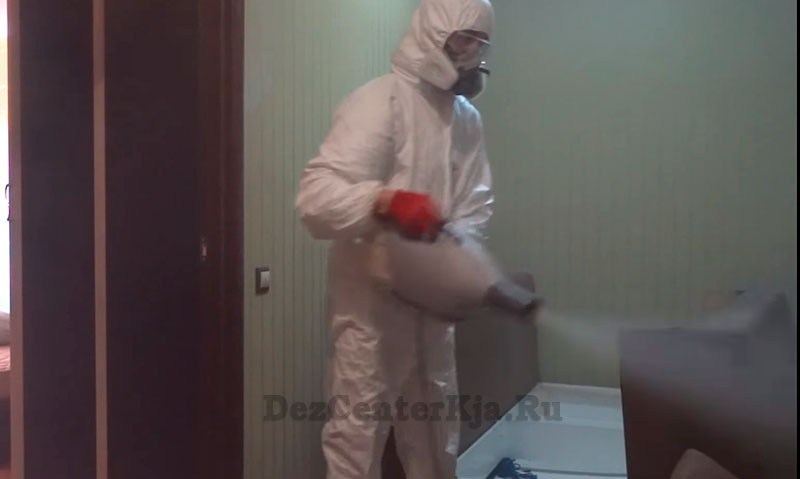 служба СЭС по уничтожению насекомых